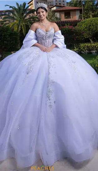 Vizcaya Quinceanera 4080008