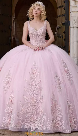 LizLuo Quinceanera 26118