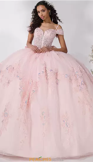 LizLuo Quinceanera 56547