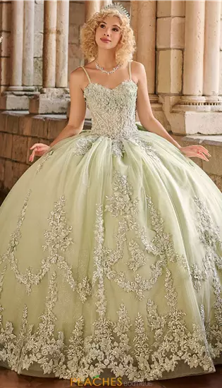 LizLuo Quinceanera 26125