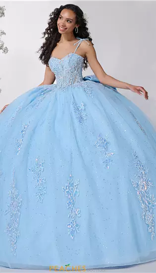 LizLuo Quinceanera 56546