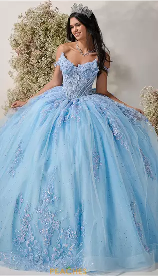 LizLuo Quinceanera 56549