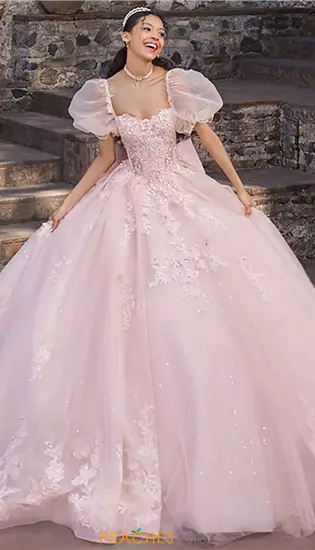 Vizcaya Quinceanera 89542