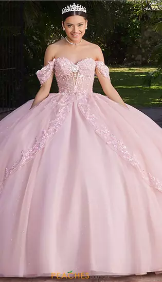 Vizcaya Quinceanera 89561