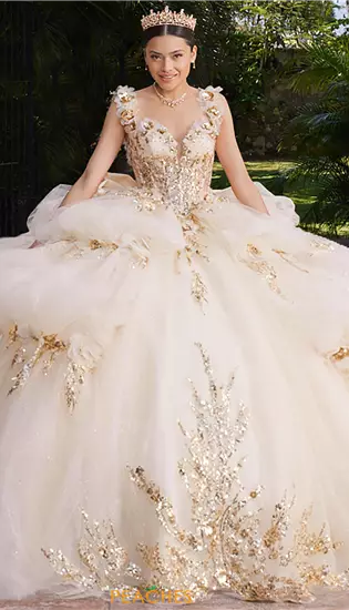 Vizcaya Quinceanera 89536