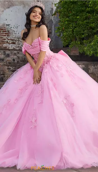 Vizcaya Quinceanera 89551