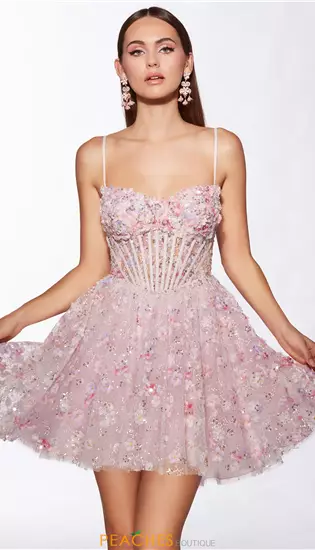 Short A Line Applique Dress 30003