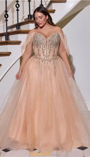 La Divine by Cinderella CD721C