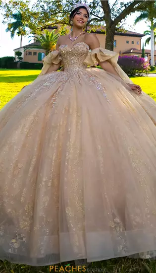 Quinceanera Collections 56566
