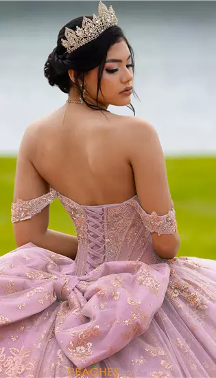 Quinceanera Collections 56565