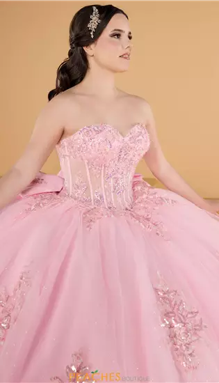 Quinceanera Collections 56571