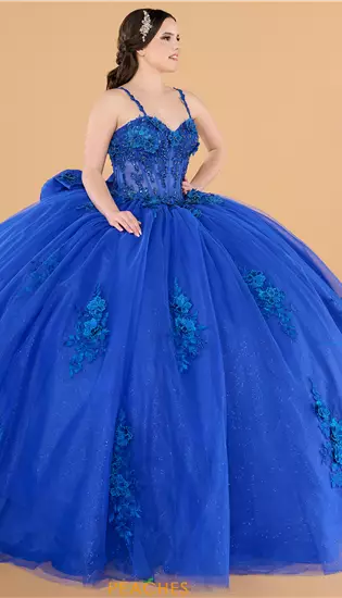 Quinceanera Collections 56573