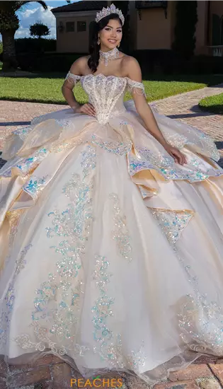 Quinceanera Collections 80070