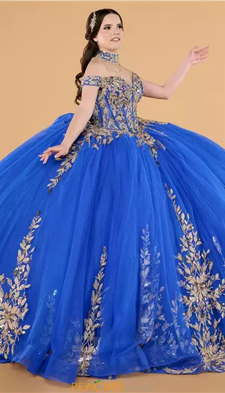 Quinceanera Collections 26146