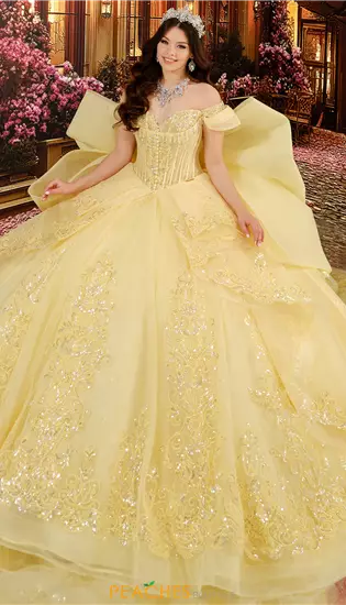 Princesa Quinceanera PR30171