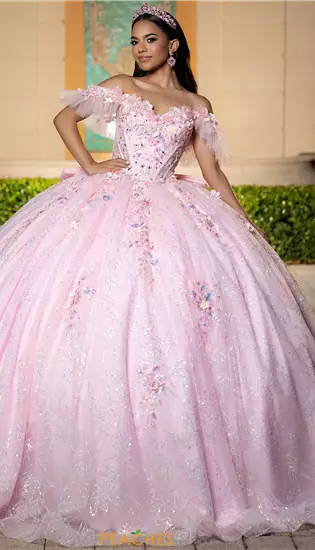 Vizcaya Quinceanera 4080049