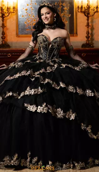 Vizcaya Quinceanera 4080040