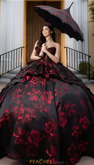 Vizcaya Quinceanera 4080047