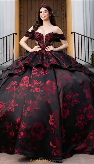 Vizcaya Quinceanera 4080047