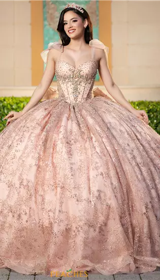 Vizcaya Quinceanera 4080043