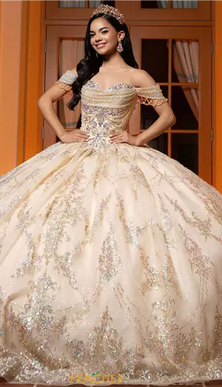 Vizcaya Quinceanera 4080061