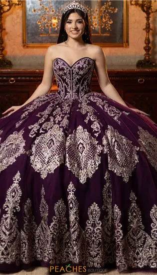 Vizcaya Quinceanera 4080069