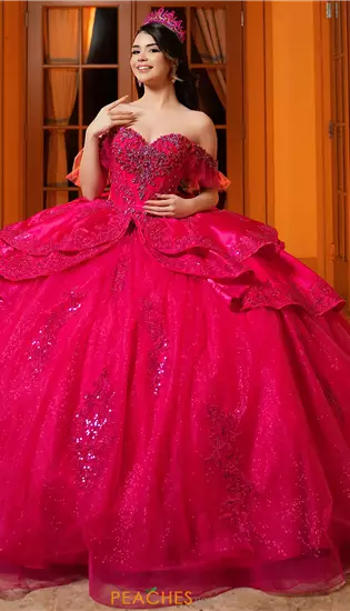 Vizcaya Quinceanera 4080068