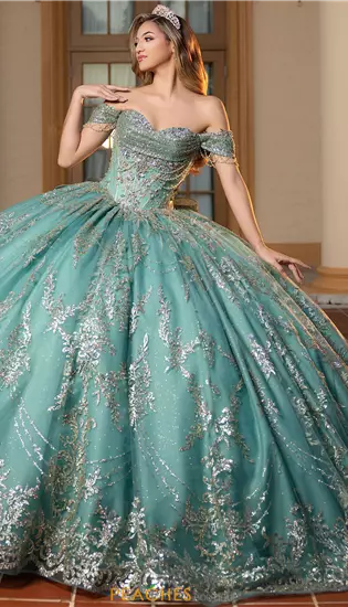 Vizcaya Quinceanera 4080061