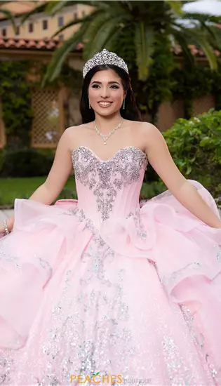 Vizcaya Quinceanera 4080065