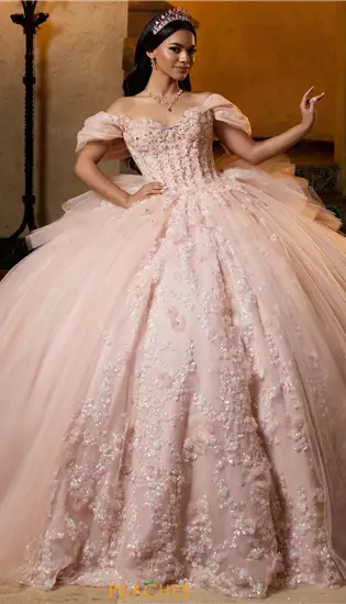 Vizcaya Quinceanera 4080050