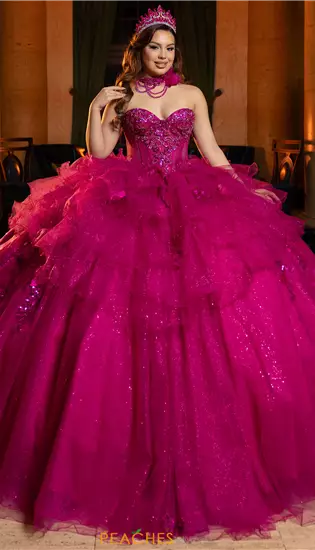 Vizcaya Quinceanera 4080048