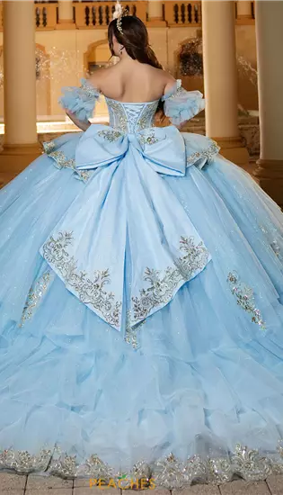 Vizcaya Quinceanera 4080057