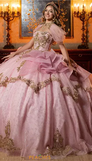 Vizcaya Quinceanera 4080062