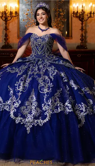 Vizcaya Quinceanera 4080051