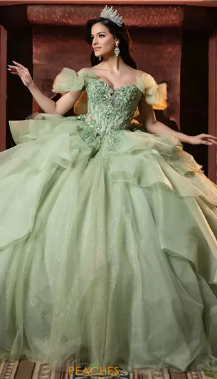 Vizcaya Quinceanera 4080066