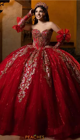Vizcaya Quinceanera 4080059
