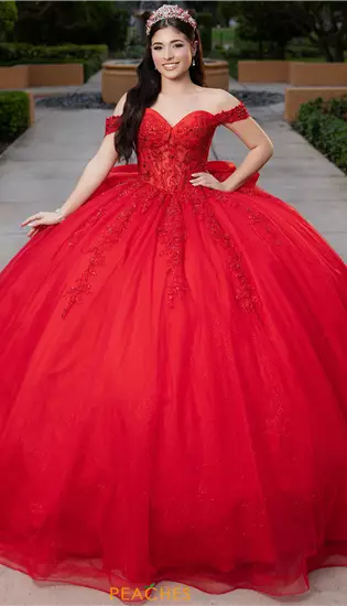 Vizcaya Quinceanera 4080046