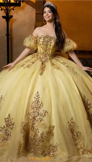 Vizcaya Quinceanera 4080052