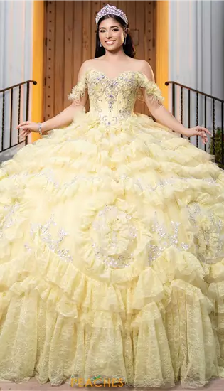 Vizcaya Quinceanera 4080058