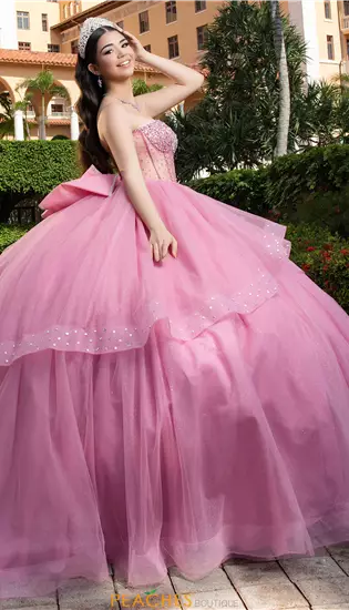 Vizcaya Quinceanera 89554