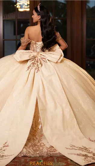 Vizcaya Quinceanera 89534