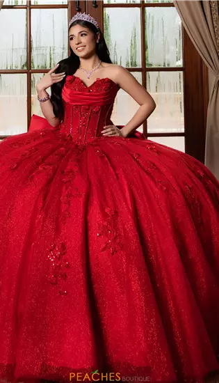 Vizcaya Quinceanera 89551
