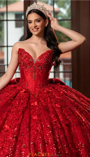 Vizcaya Quinceanera 4080029