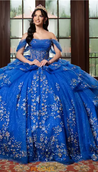 Vizcaya Quinceanera 4080027
