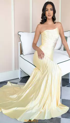 Rachel Allan Dresses